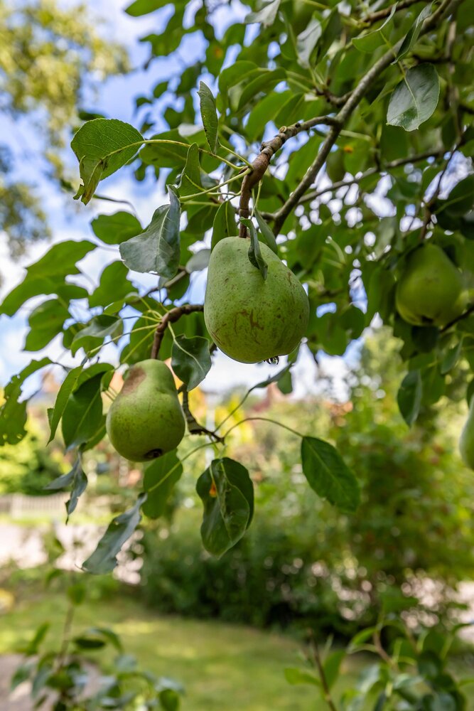 Krassumerstraat 23, 9893 PH Garnwerd - € 625.000 k.k. - Boekholt & partners makelaars Groningen