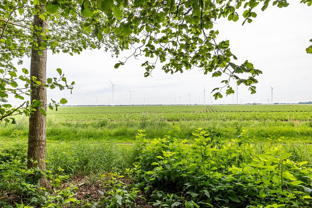 Lindenlaan 33, 9651 BG Meeden - € 625.000 k.k. - Boekholt & partners makelaars Groningen