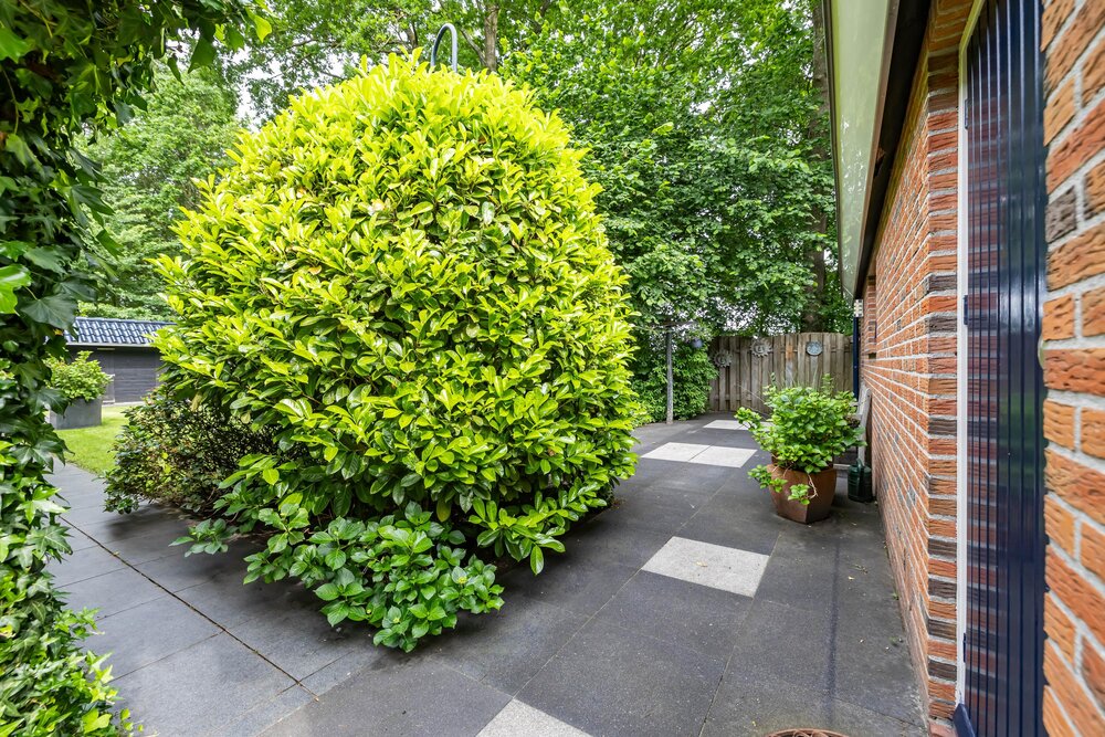 Lindenlaan 33, 9651 BG Meeden - € 625.000 k.k. - Boekholt & partners makelaars Groningen