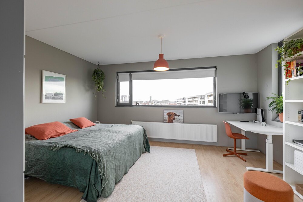 Het Hout 205, 9723 LC Groningen - € 750.000 k.k. - Boekholt & partners makelaars Groningen