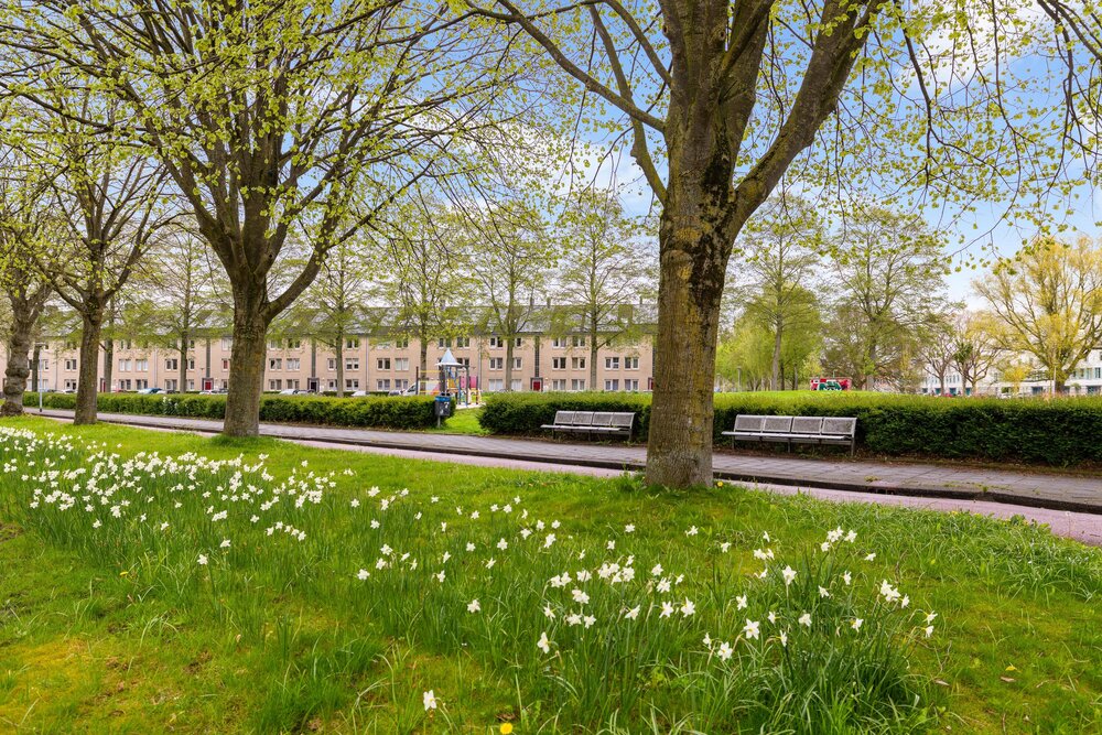 S.O.J. Palmelaan 185, 9728 VJ Groningen - € 575.000 k.k. - Boekholt & partners makelaars Groningen