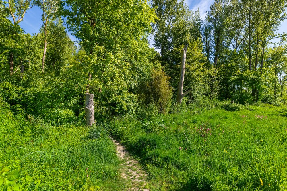 Het Roege Bos 5, 9745 DZ Groningen - € 749.000 k.k. - Boekholt & partners makelaars Groningen