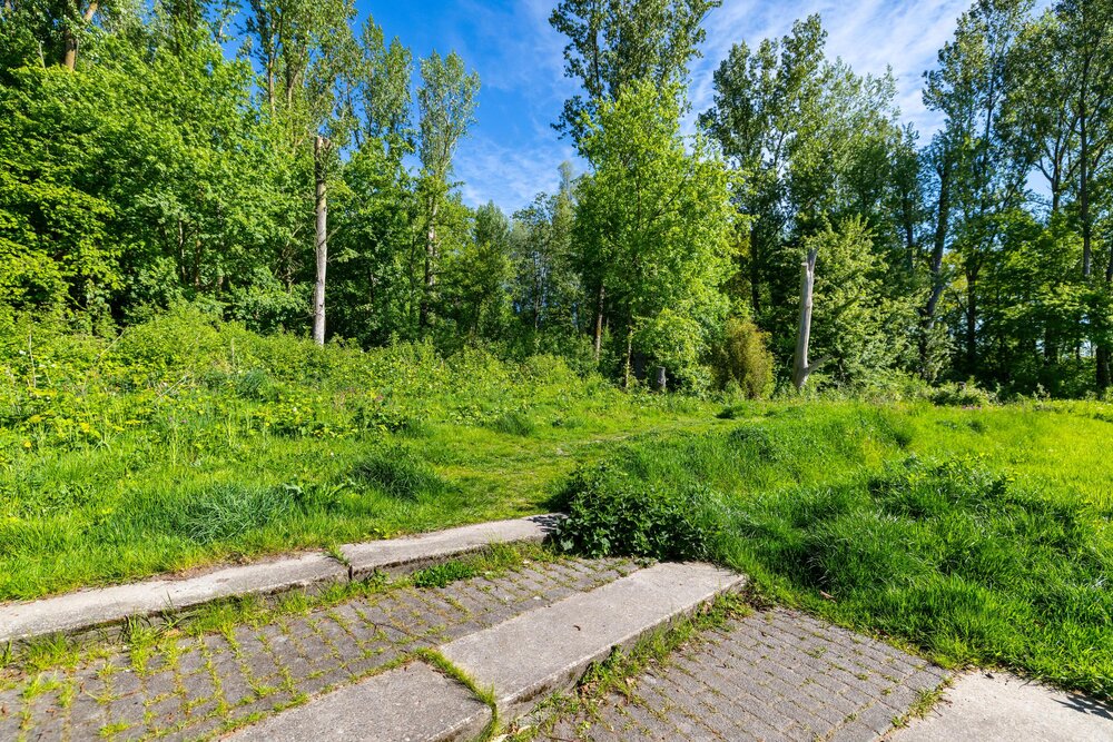 Het Roege Bos 5, 9745 DZ Groningen - € 749.000 k.k. - Boekholt & partners makelaars Groningen