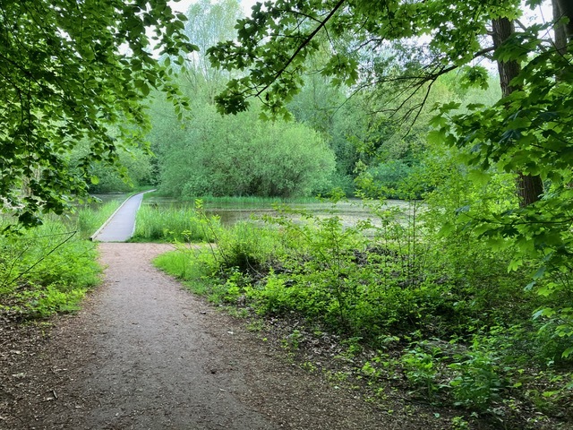 Het Roege Bos 5, 9745 DZ Groningen - € 749.000 k.k. - Boekholt & partners makelaars Groningen