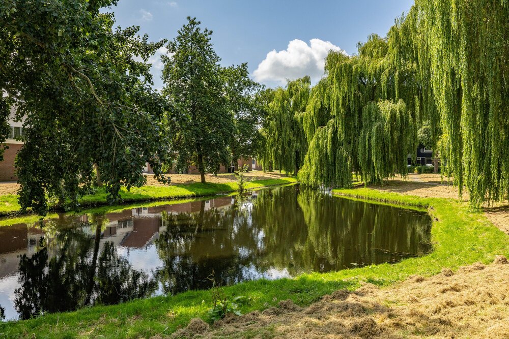 Ten Oeverlaan 28, 9744 GD Groningen - € 375.000 k.k. - Boekholt & partners makelaars Groningen