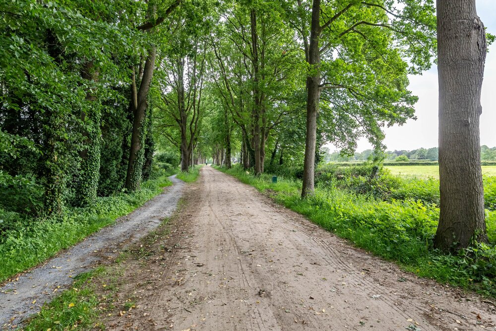 Holsteinslaan 7a, 9752 VP Haren gn - € 665.000 k.k. - Boekholt & partners makelaars Groningen
