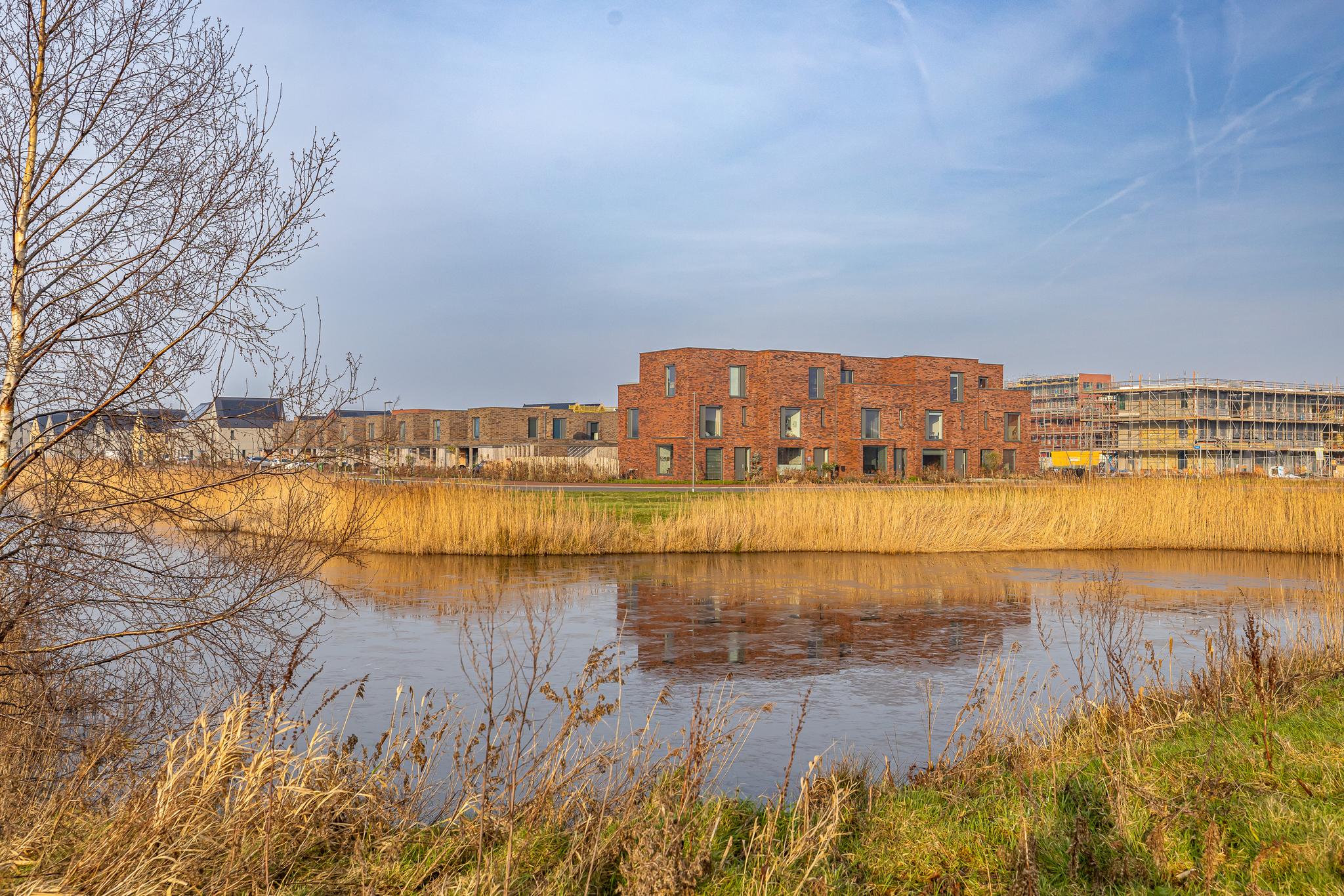 blaarkop 3 meerstad